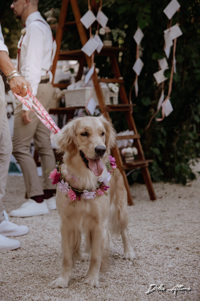 28072022182147ND4_2830