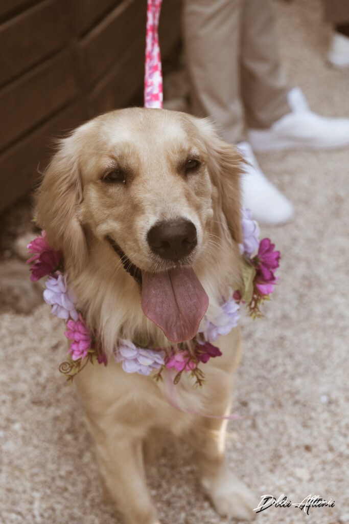 28072022182916D51_3507