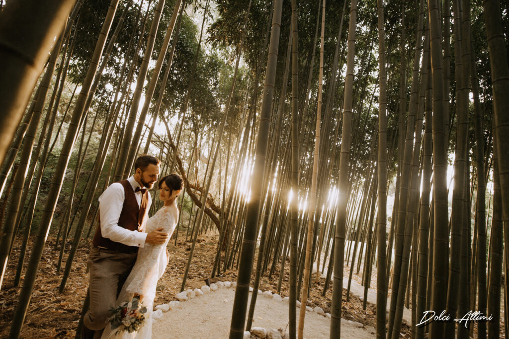 28072022200309D51_4229