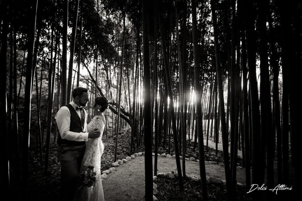 28072022200314D51_4230